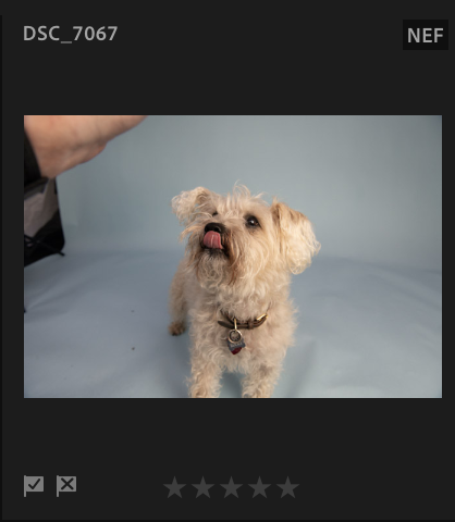 Screenshot 2024-11-21 at 4.54.52 PM.png