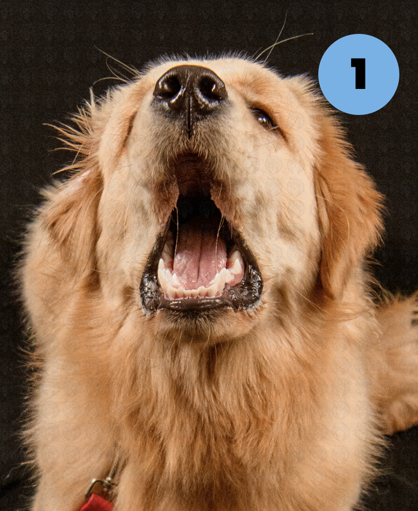 Screenshot 2025-11-09 at 7.43.00 AM copy.png