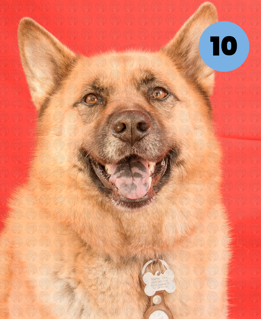 Screenshot 2025-12-10 at 2.56.32 PM copy.png