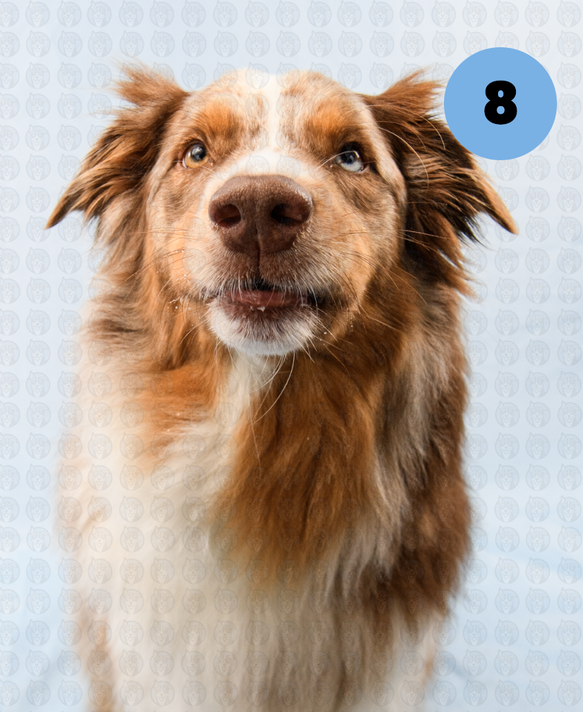 Screenshot 2025-12-16 at 9.55.08 AM copy.png