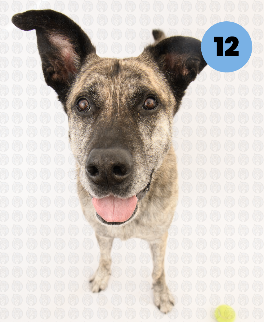 Screenshot 2026-01-12 at 11.23.01 AM copy.png