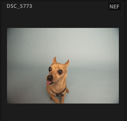 Screenshot 2024-11-16 at 5.24.41 PM.png