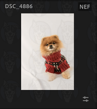 Screenshot 2025-02-12 at 11.03.22 AM.png