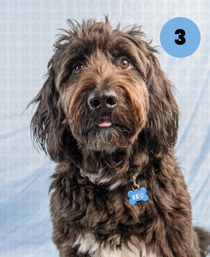 Screenshot 2025-12-22 at 7.01.47 AM copy.png