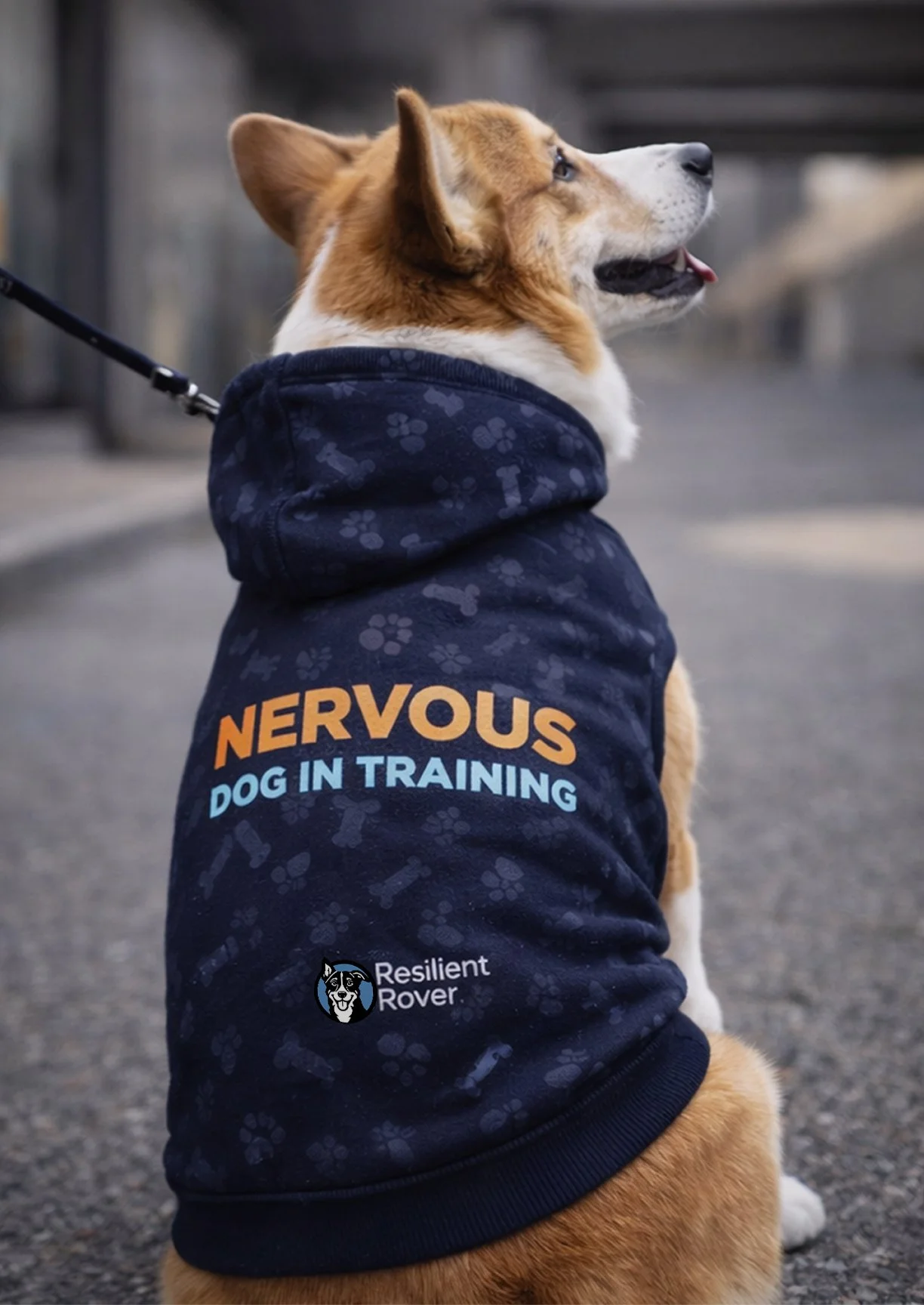 Nervous Hoodie Lifestyle.jpg