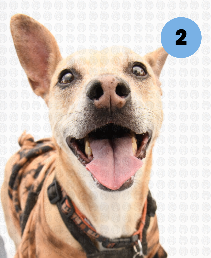 Screenshot 2026-01-12 at 11.44.04 AM copy.png