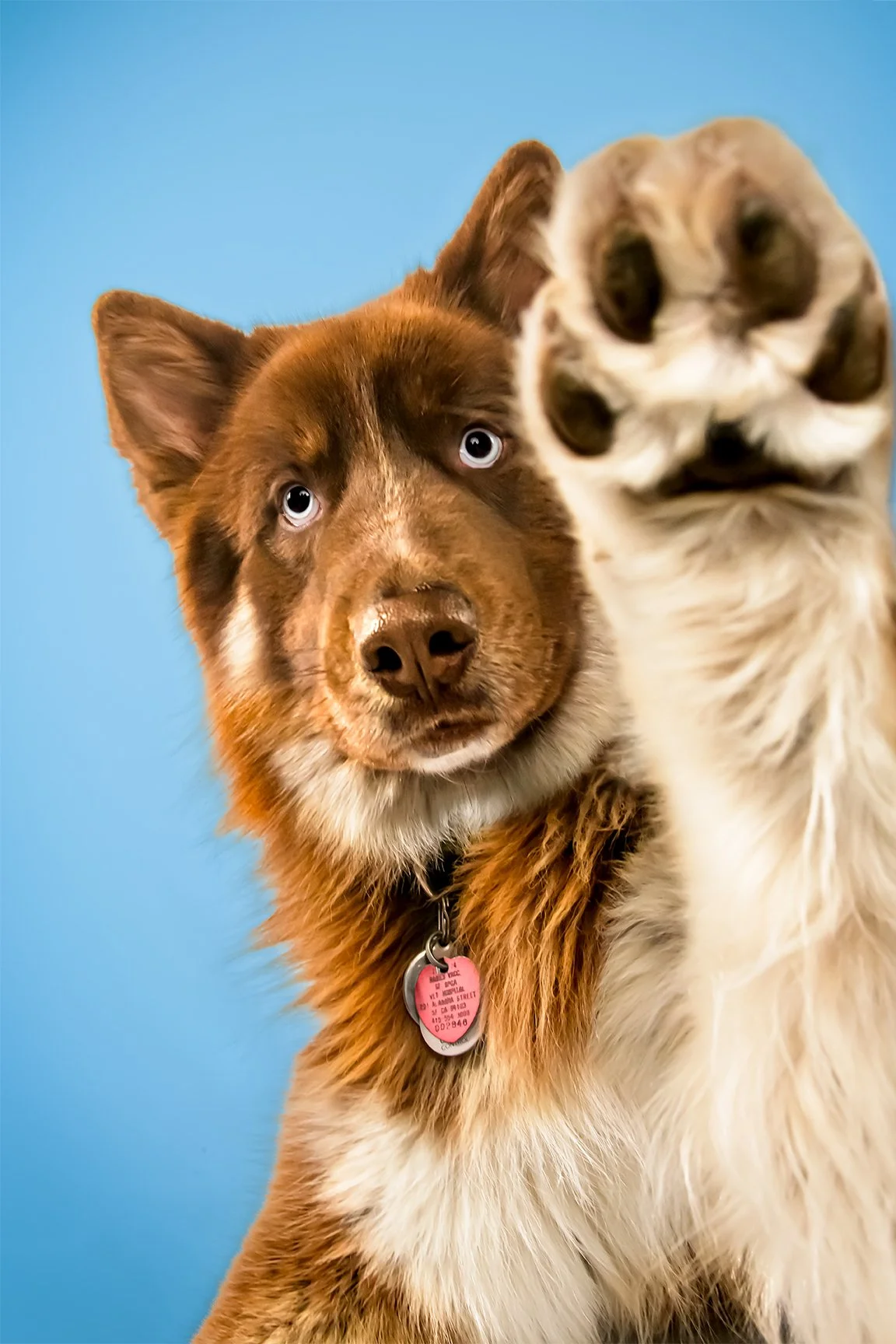 Schuyler High Five_16-24_Lo.jpg