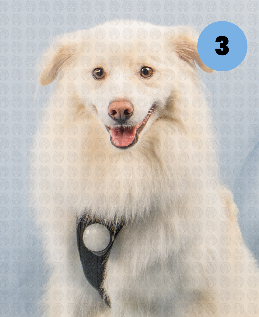 Screenshot 2025-12-22 at 7.12.20 AM copy.png