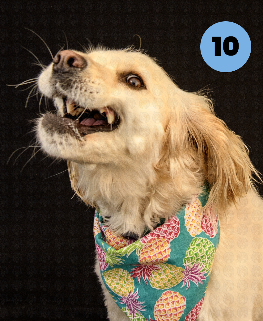 Screenshot 2025-10-24 at 2.18.42 PM copy.png