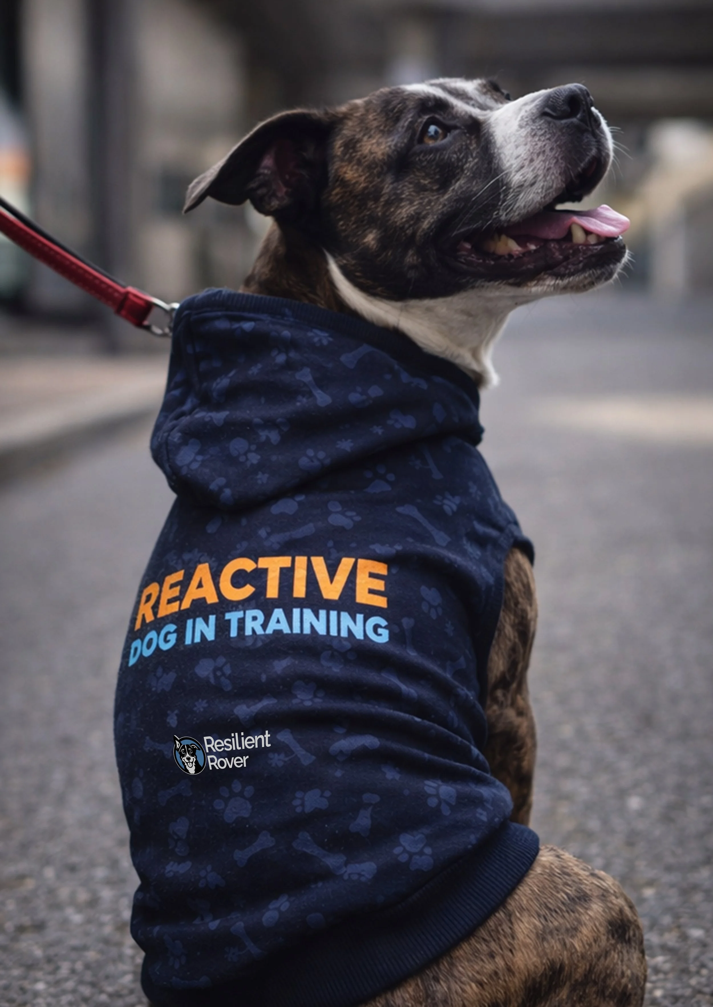Reactive Dog In Training Hoodie