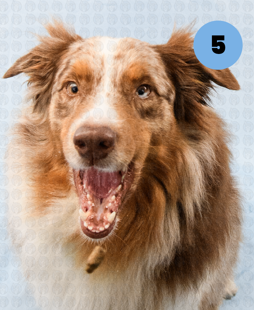 Screenshot 2025-12-16 at 9.54.47 AM copy.png