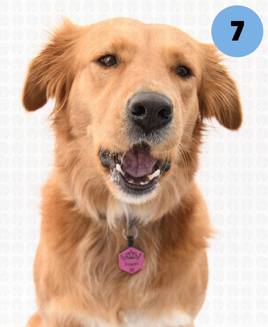 Screenshot 2025-09-30 at 9.20.50 AM copy.png