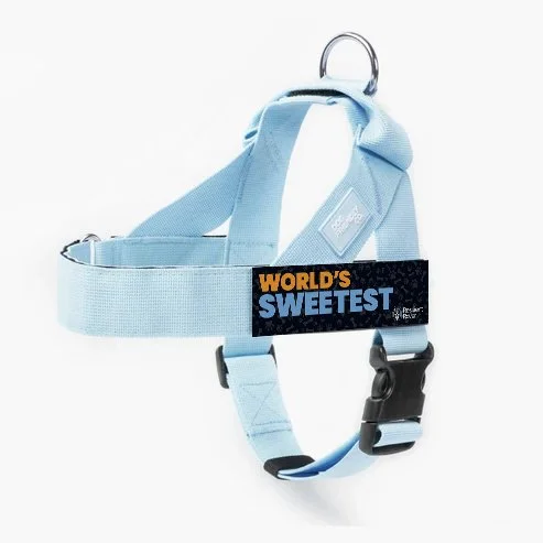 W-Sweetest_DF Harness_Sky Blue.jpg
