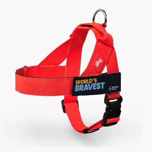 W-Bravest_DF Harness_Red.jpg