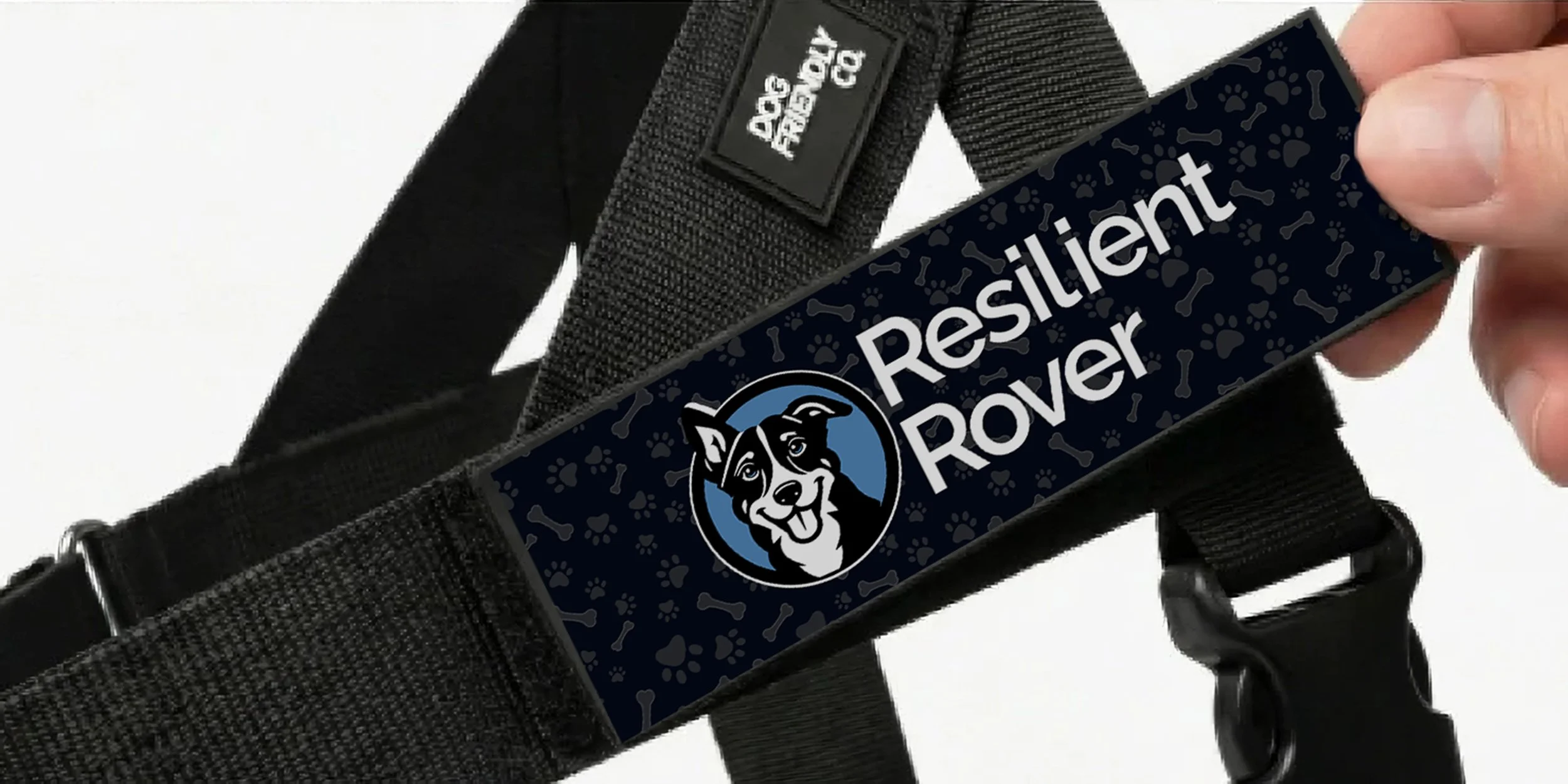 Harness Close Up.jpg