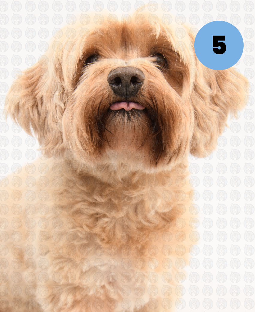 Screenshot 2026-01-12 at 11.18.33 AM copy.png