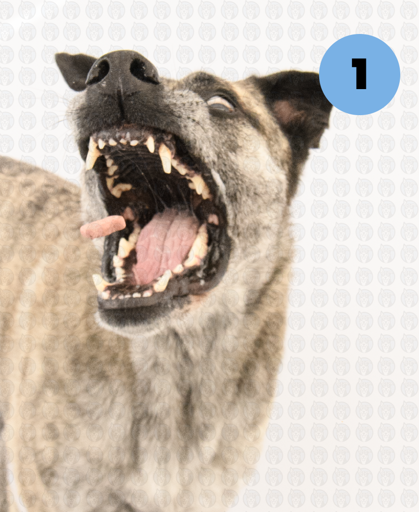 Screenshot 2026-01-12 at 11.21.43 AM copy.png