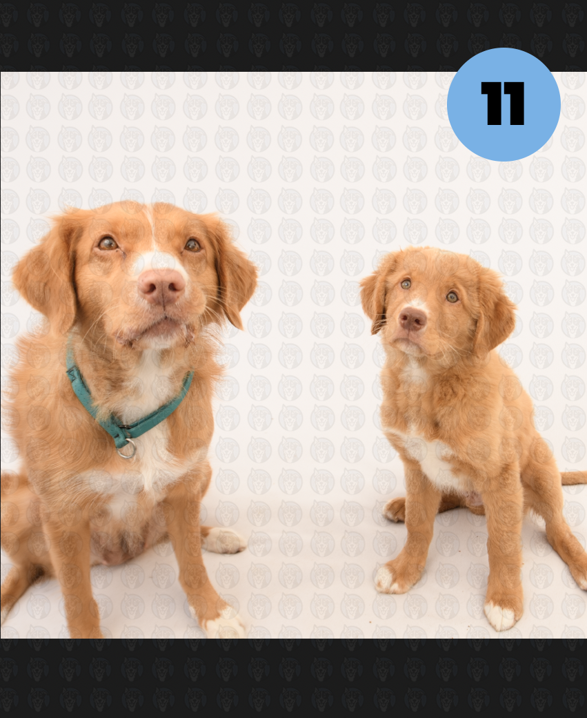 Screenshot 2026-01-12 at 11.36.47 AM copy.png