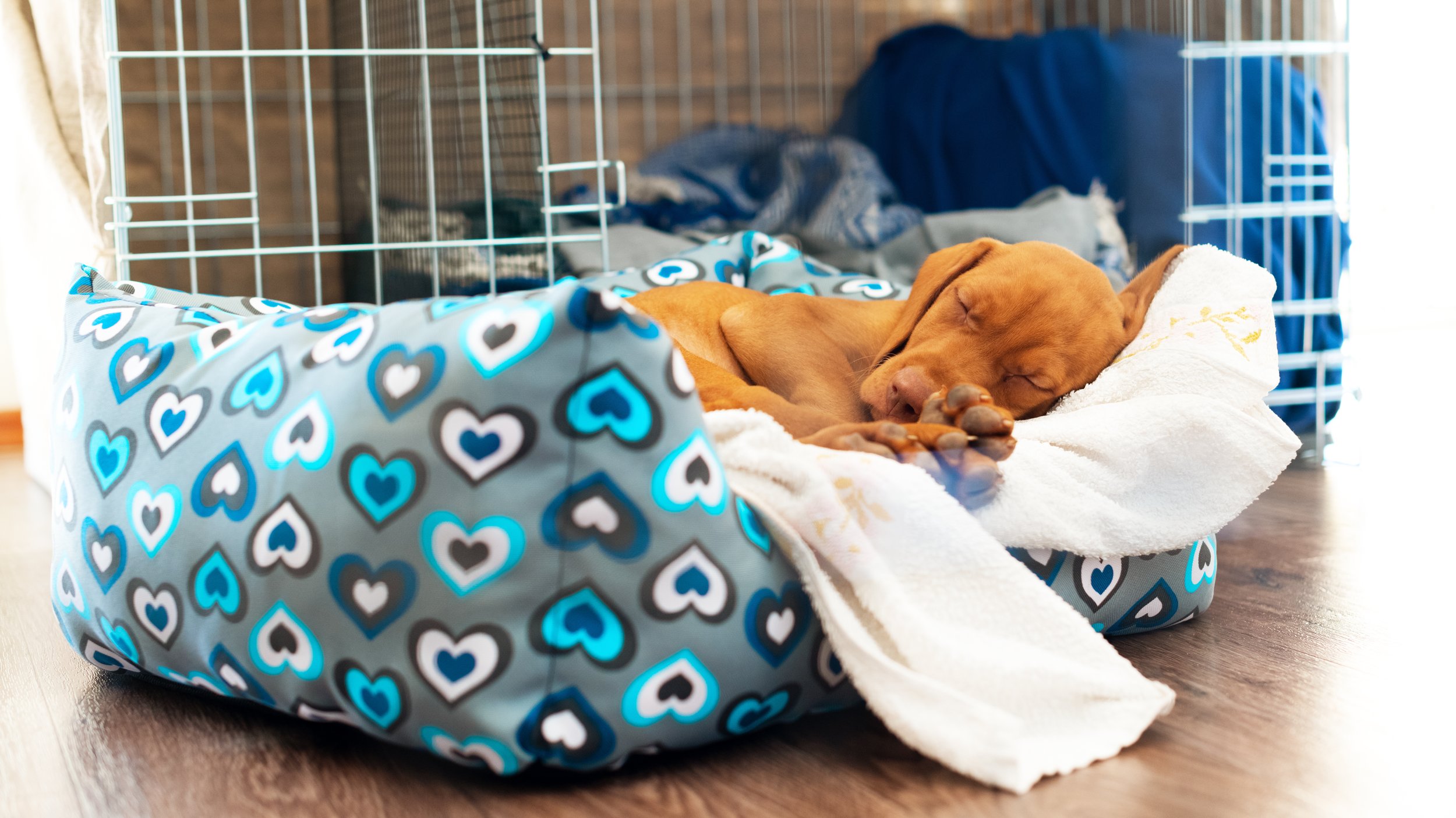 AdobeStock_268655145.jpeg