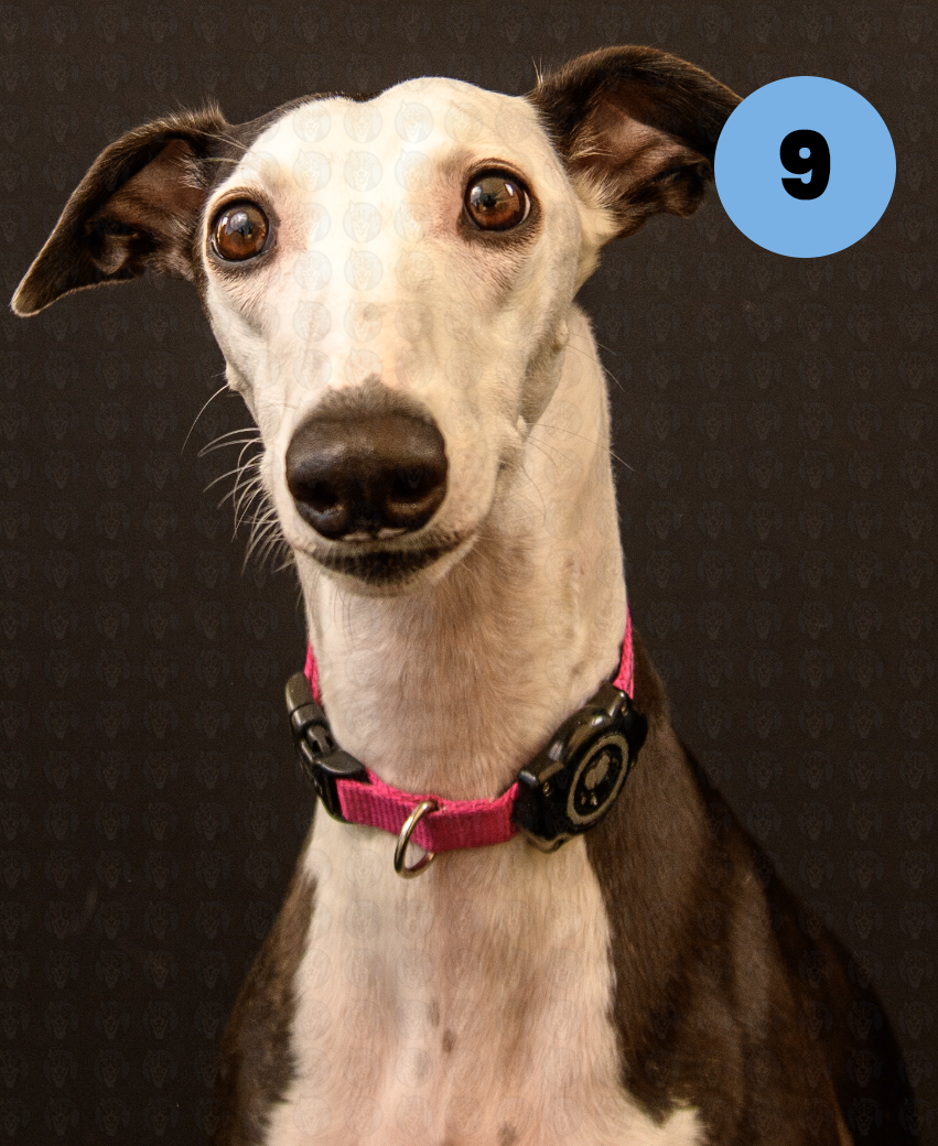 Screenshot 2025-10-24 at 2.13.23 PM copy.png