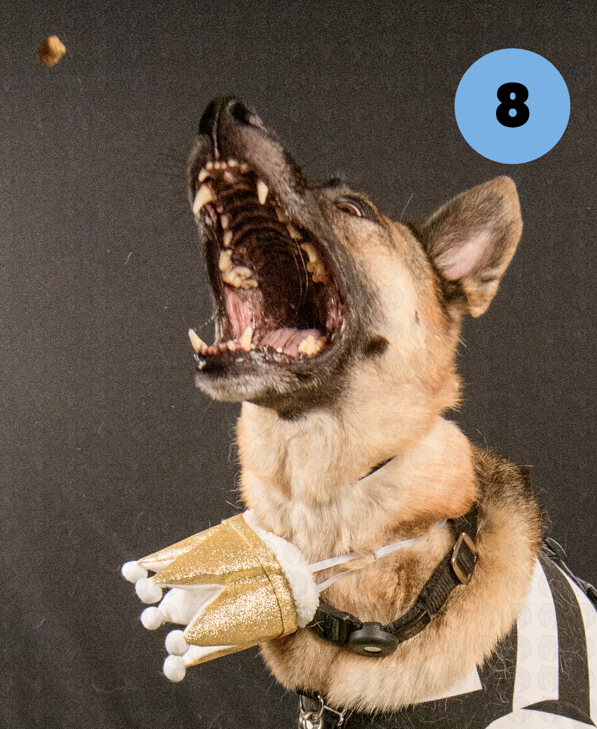 Screenshot 2025-11-09 at 7.48.16 AM copy.png