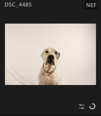 Screenshot 2024-12-24 at 7.23.53 AM.png