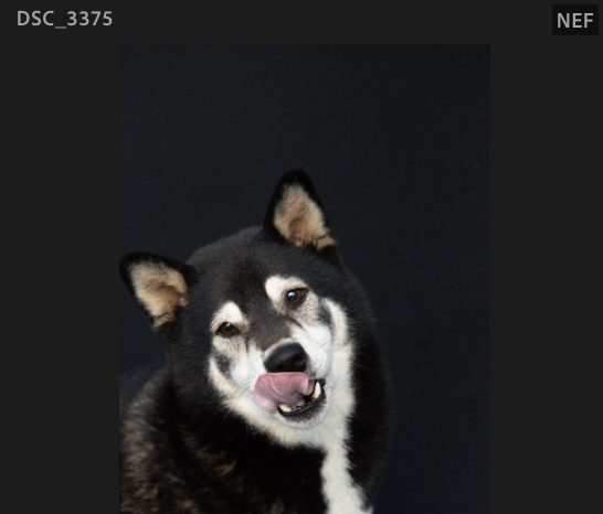 Screenshot 2024-10-28 at 11.47.15 AM.png