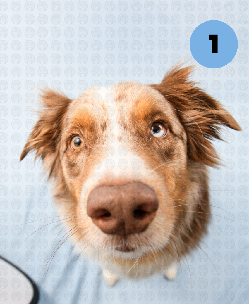 Screenshot 2025-12-16 at 9.54.09 AM copy.png