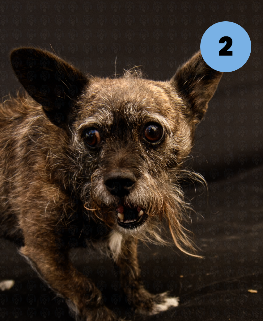 Screenshot 2025-10-24 at 1.21.45 PM copy.png