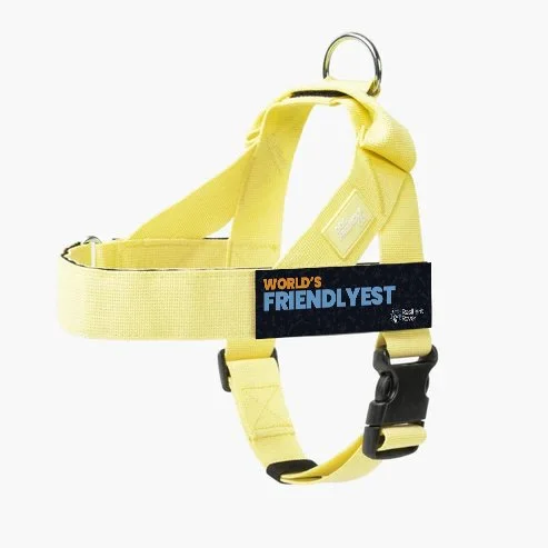 W-Friendlyest_DF Harness_Yellow.jpg
