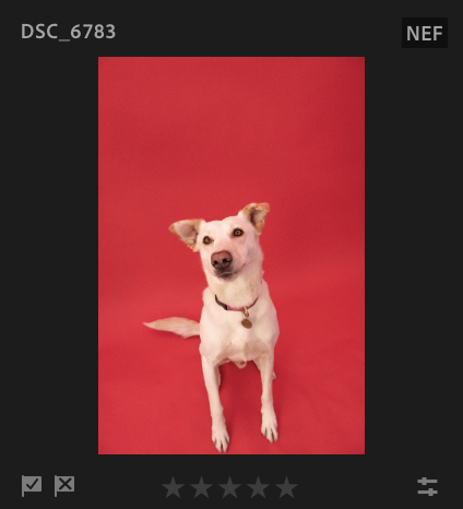Screenshot 2024-11-19 at 9.02.26 AM.png
