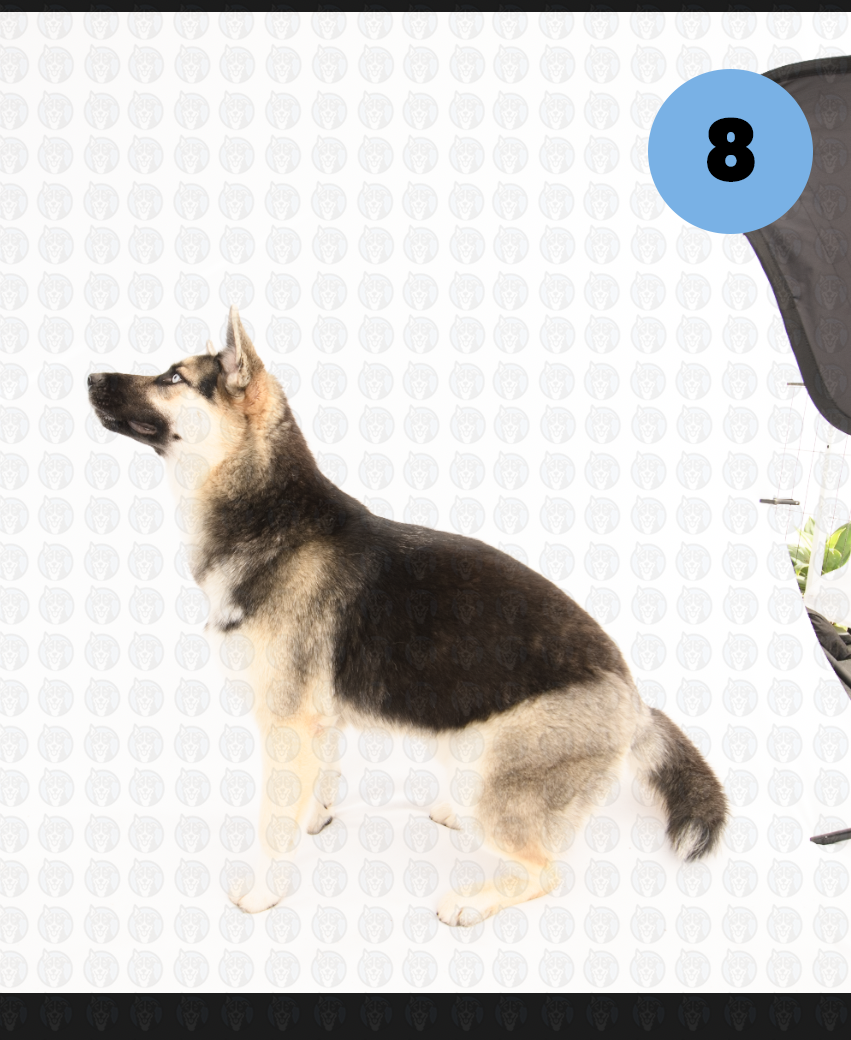 Screenshot 2026-01-12 at 11.40.11 AM copy.png