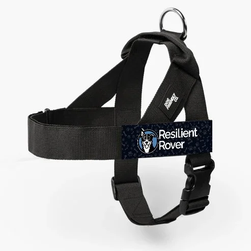 Customizable One-Clip Harness from Bullhug (They're Not Just for Bulldogs)