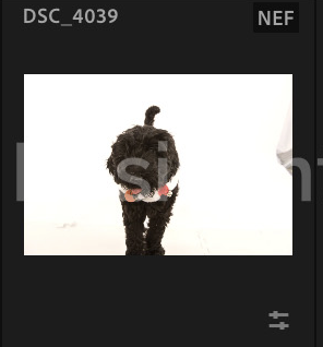 Screenshot 2024-12-18 at 8.51.26 AM.png