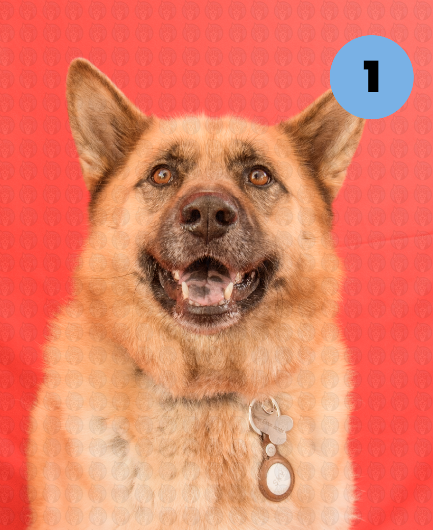 Screenshot 2025-12-10 at 2.55.24 PM copy.png