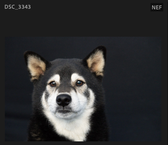 Screenshot 2024-10-28 at 11.46.42 AM.png