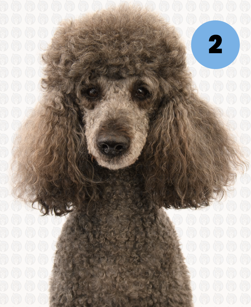 Screenshot 2026-01-12 at 11.10.44 AM copy.png