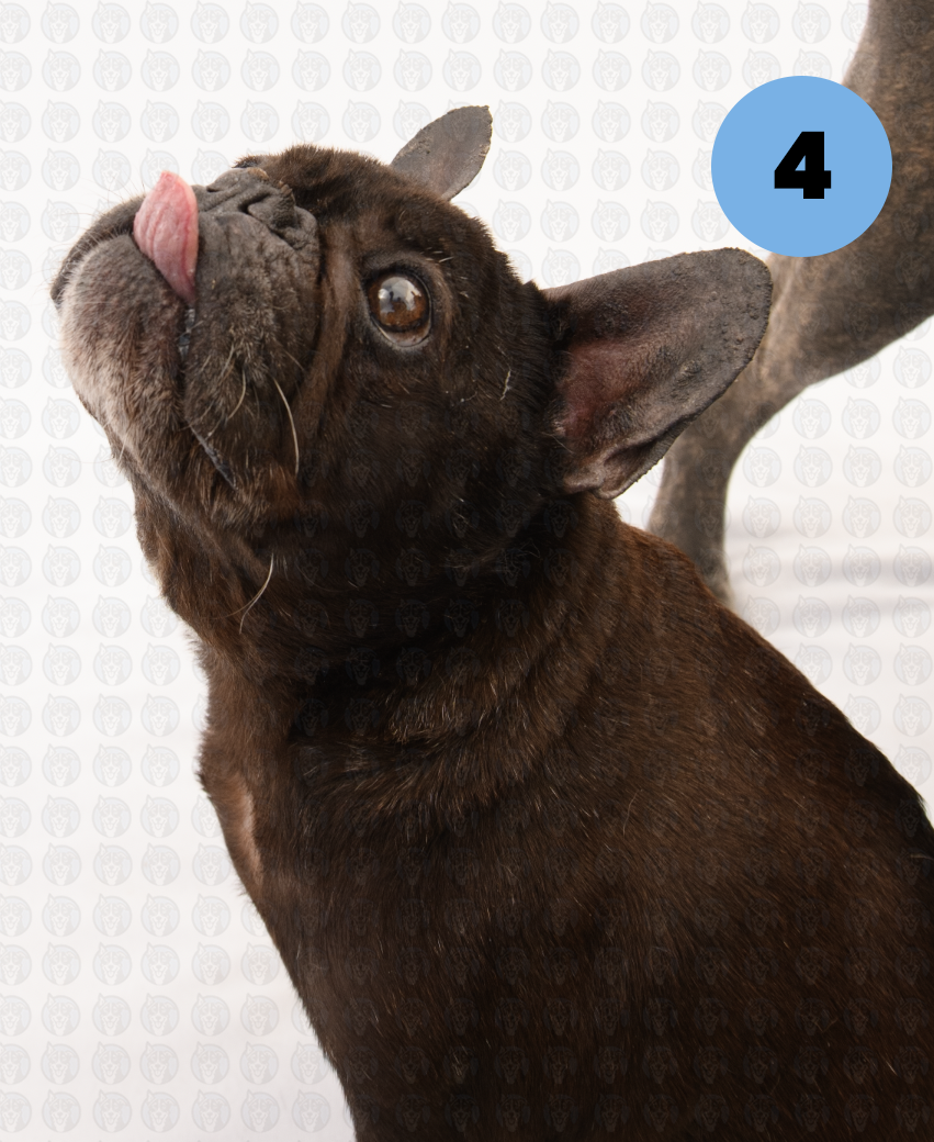 Screenshot 2026-01-12 at 11.53.13 AM copy.png