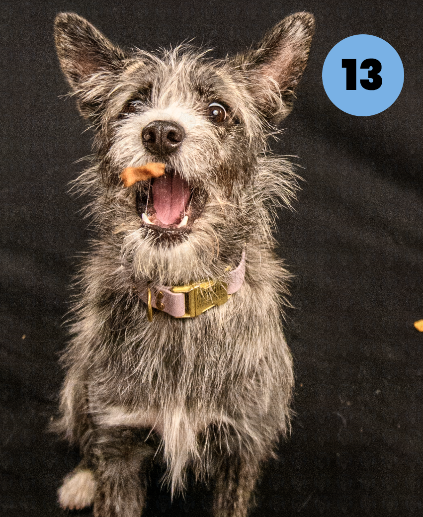 Photographer's Selects of Avery and Annie Christensen