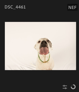 Screenshot 2024-12-24 at 7.23.20 AM.png