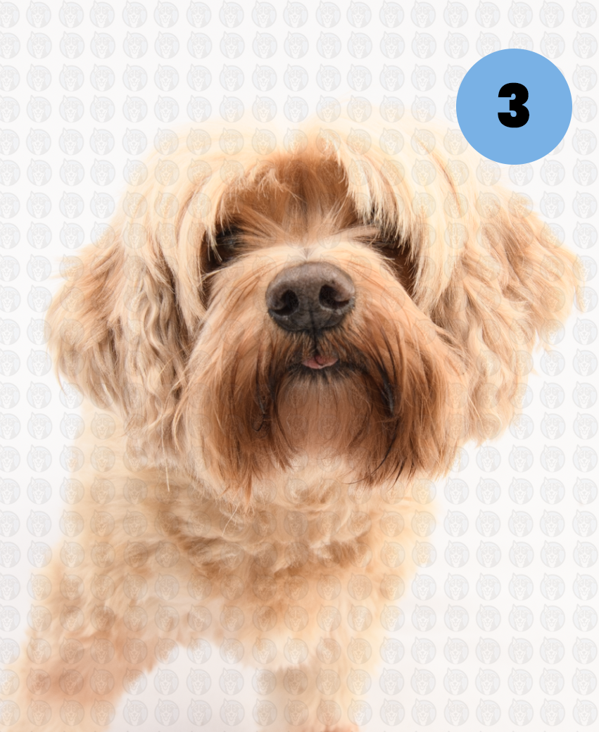 Screenshot 2026-01-12 at 11.18.21 AM copy.png