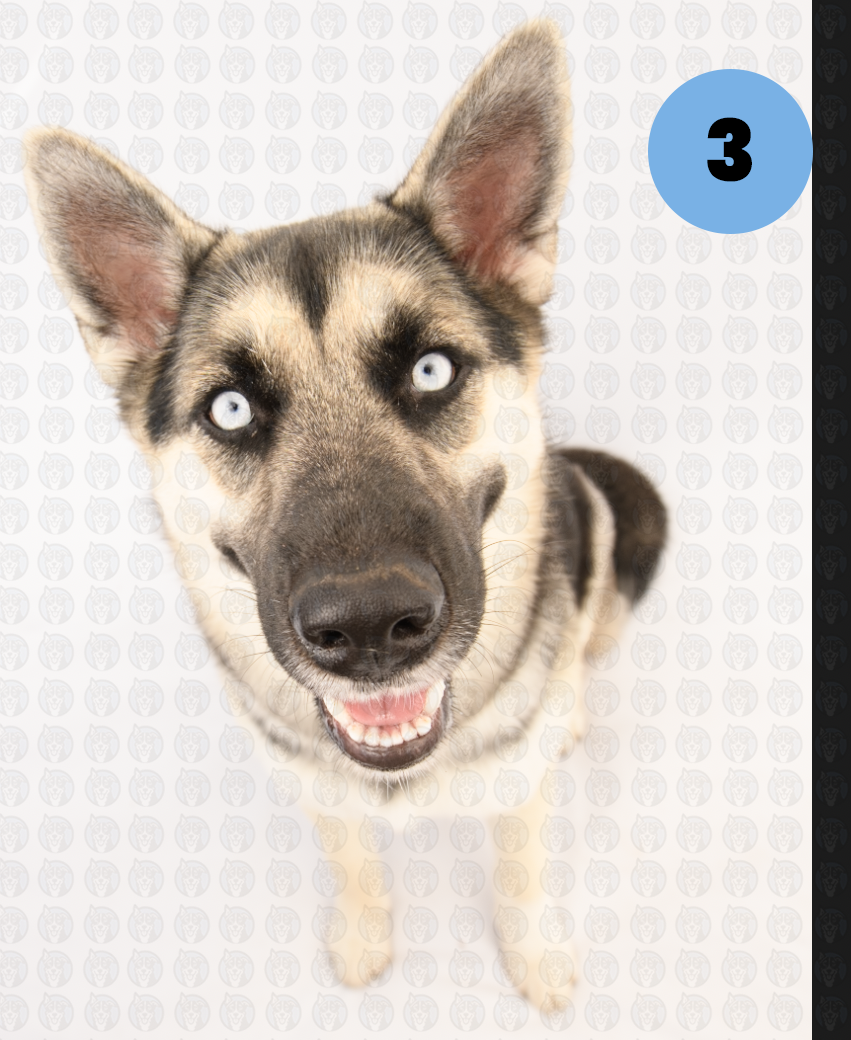 Screenshot 2026-01-12 at 11.39.16 AM copy.png