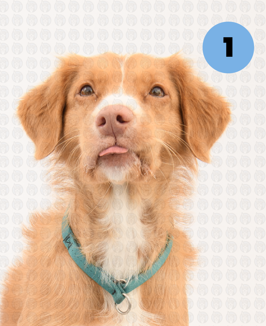 Screenshot 2026-01-12 at 11.35.06 AM copy.png