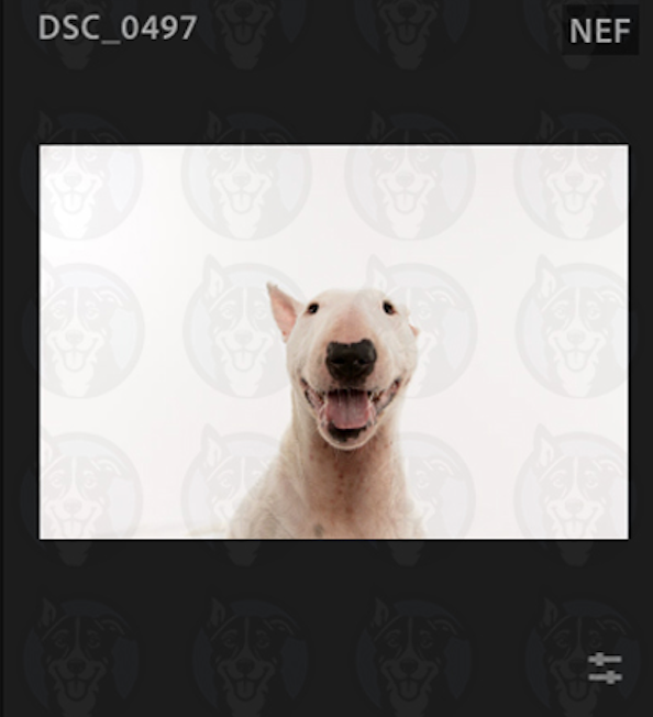 Screenshot 2025-02-01 at 8.51.17 AM.png