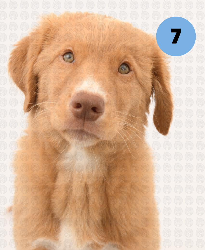 Screenshot 2026-01-12 at 11.35.55 AM copy.png