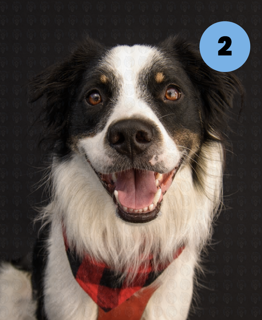 Screenshot 2025-10-24 at 1.19.37 PM copy.png