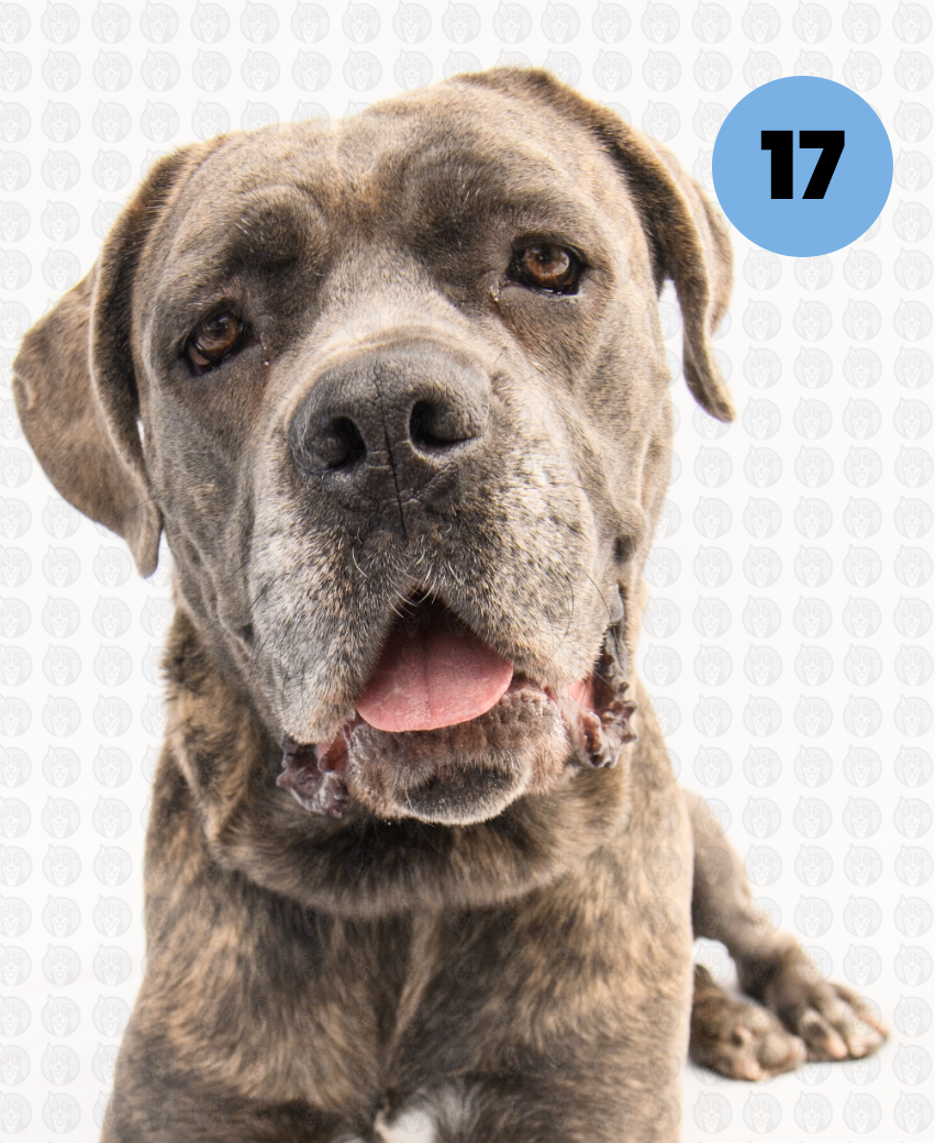 Screenshot 2026-01-12 at 11.55.28 AM copy.png