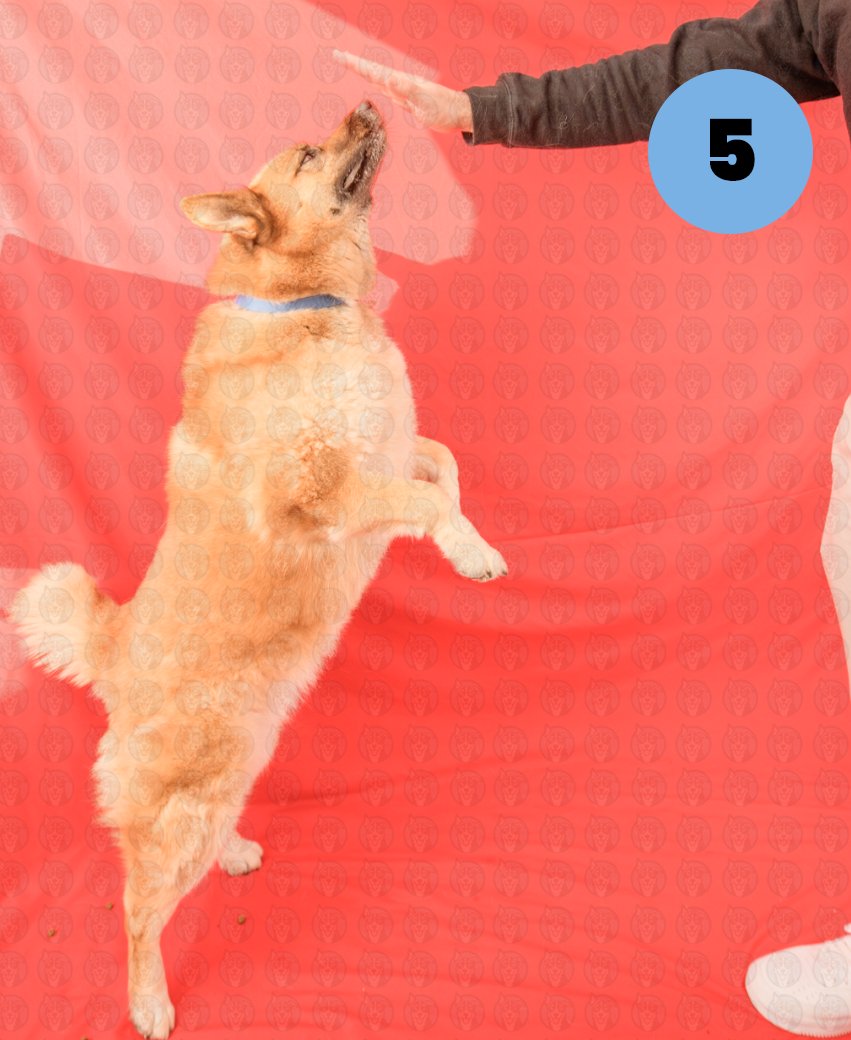 Screenshot 2025-12-10 at 2.55.52 PM copy.png