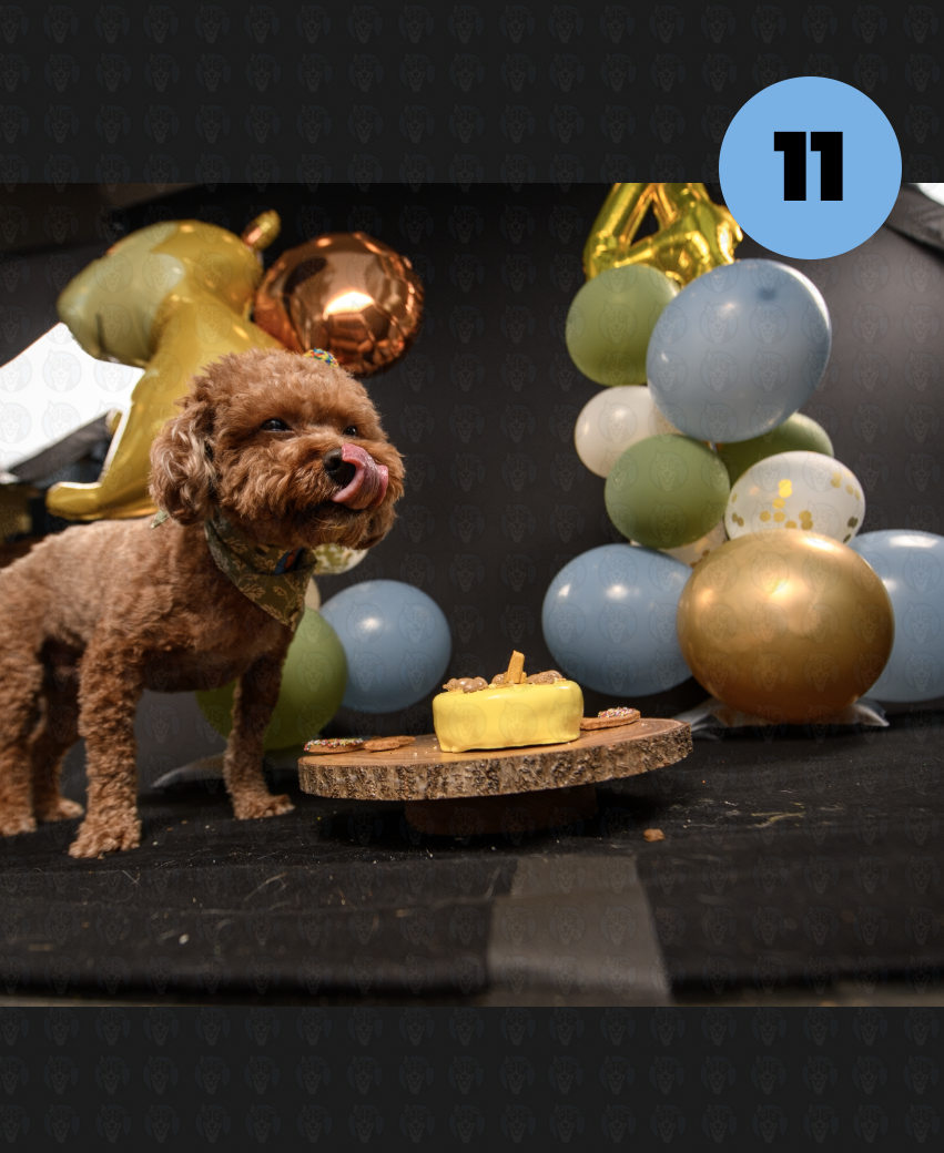 Screenshot 2025-10-23 at 1.20.02 PM copy.png