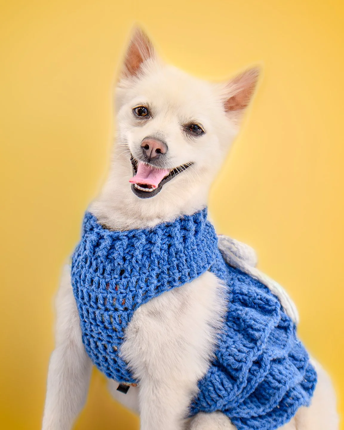 Coco Image 4_16-20_Lo.jpg